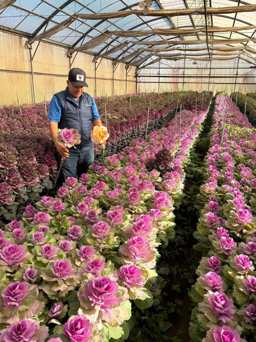 Sustainabloom&rsquo;s New Sustainability Planning Guide Helps Flower Growers Turn Goals Into Action