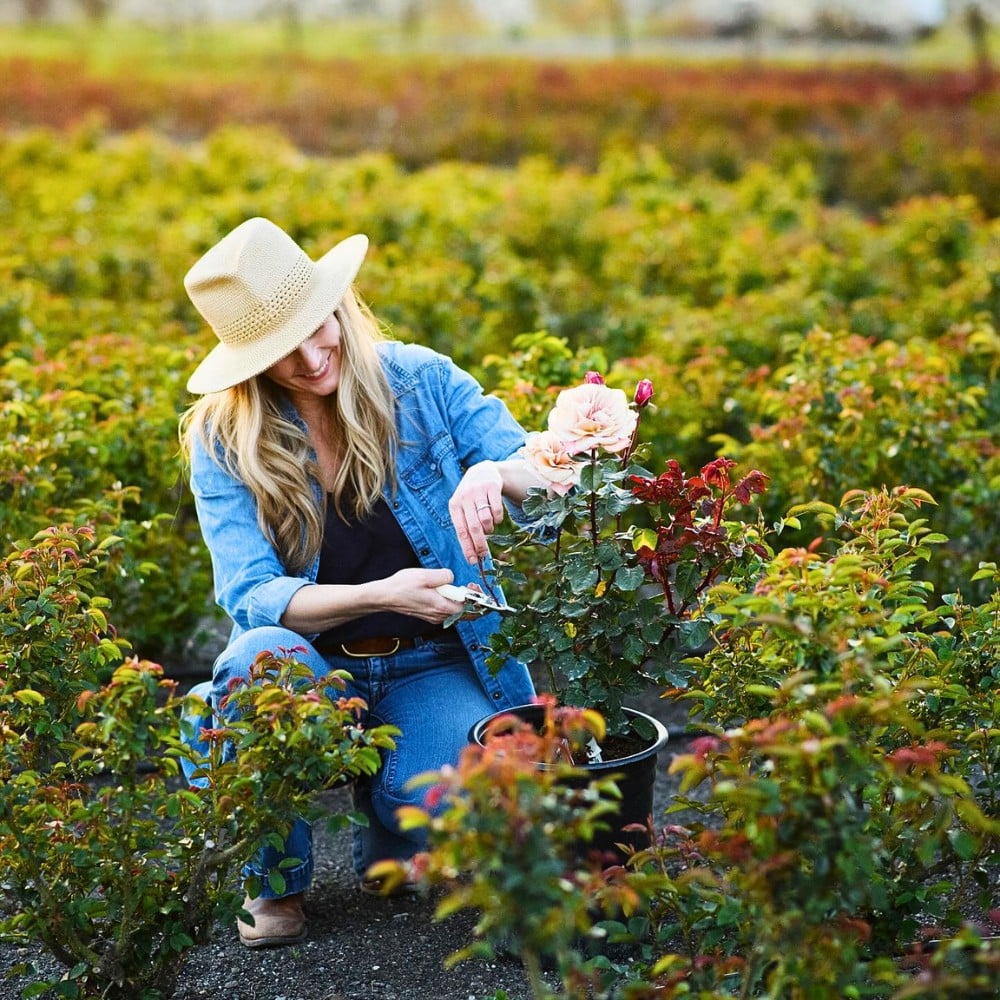 Sustainabloom, the initiative by the American Floral Endowment that helps the floral industry put sustainability research into practice, has released the free Sustainability Planning Template for Flower Growers.