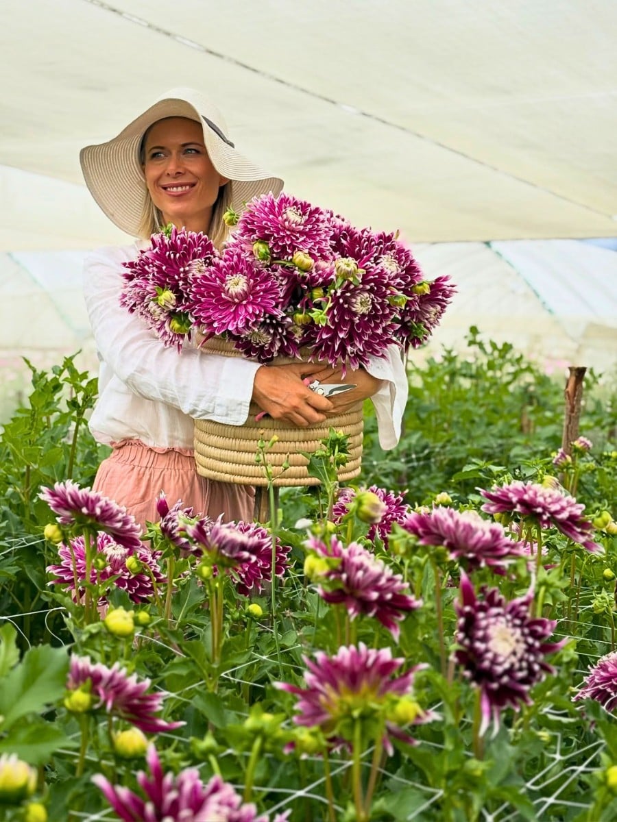 Sustainabloom, the initiative by the American Floral Endowment that helps the floral industry put sustainability research into practice, has released the free Sustainability Planning Template for Flower Growers.