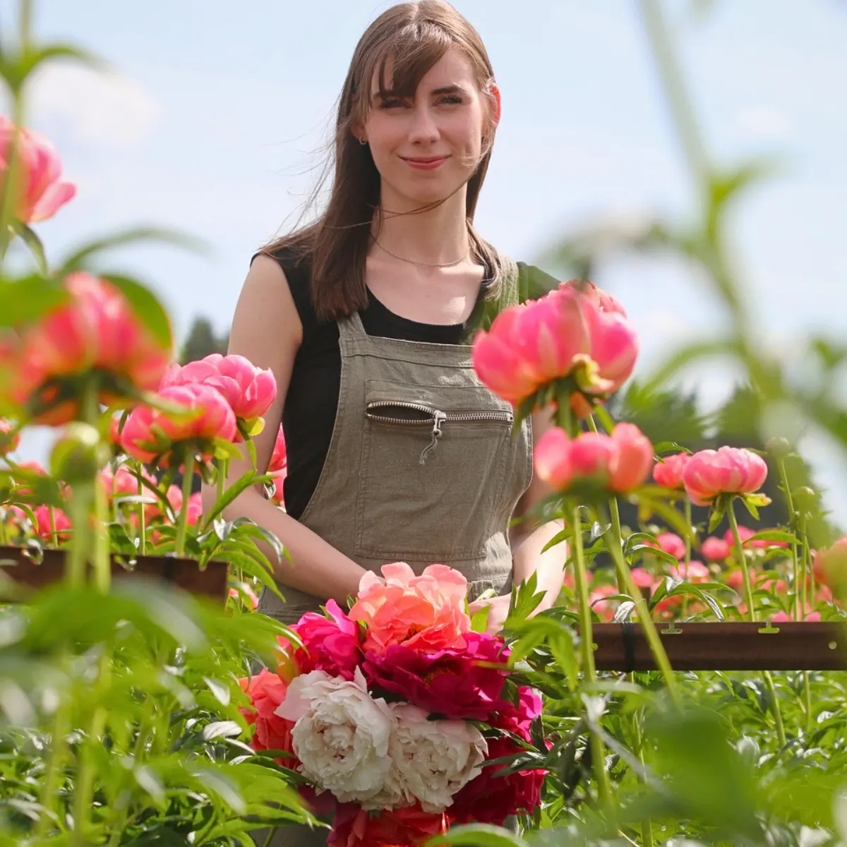 Sustainabloom, the Initiative American Floral Endowment That Helps the Floral Industry Put Sustainability Research Into Practice, Has Released Sustainability Planning Template for Flower Growers.