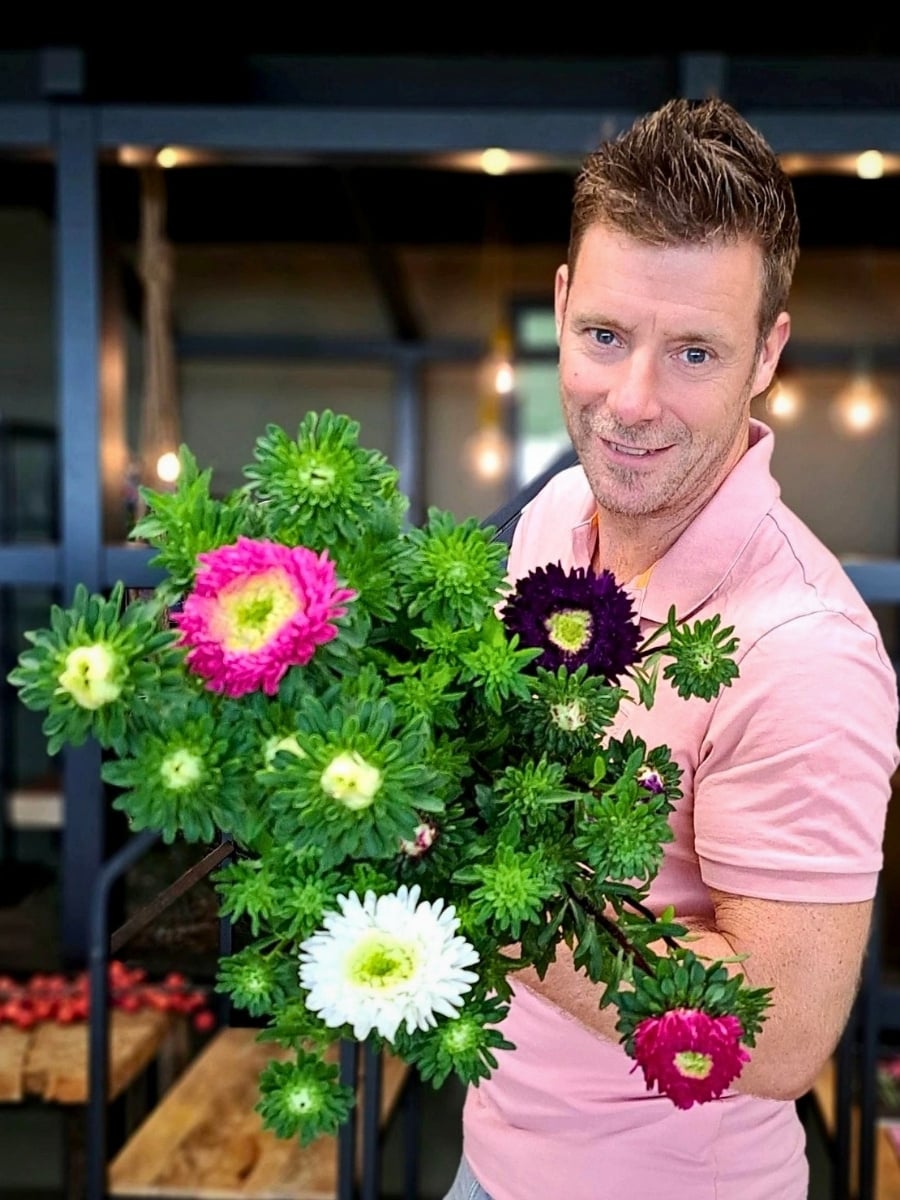 How Aster Flower Breeding Works