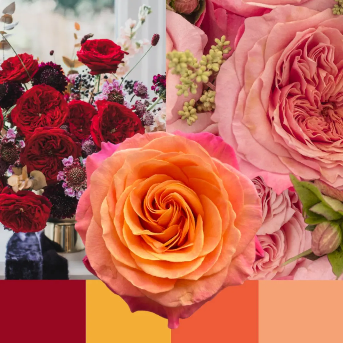 garden rose palettes