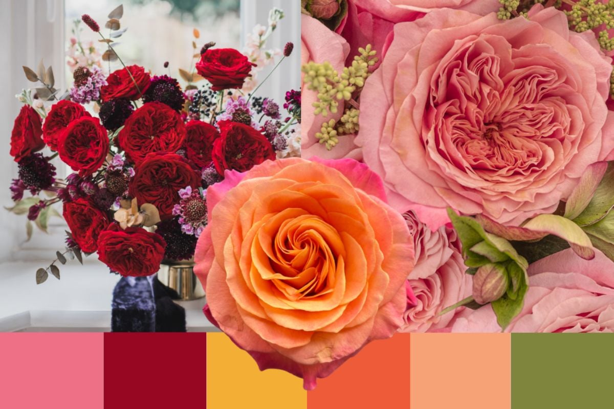 The maximalist garden rose palette