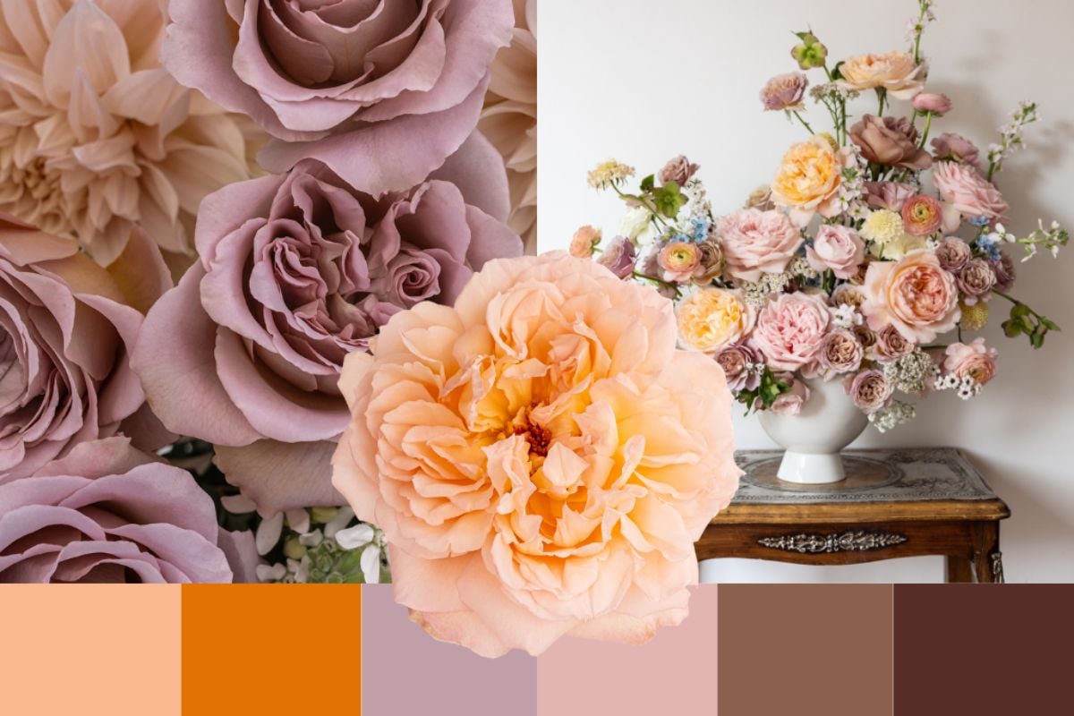 The wild at heart garden rose palette