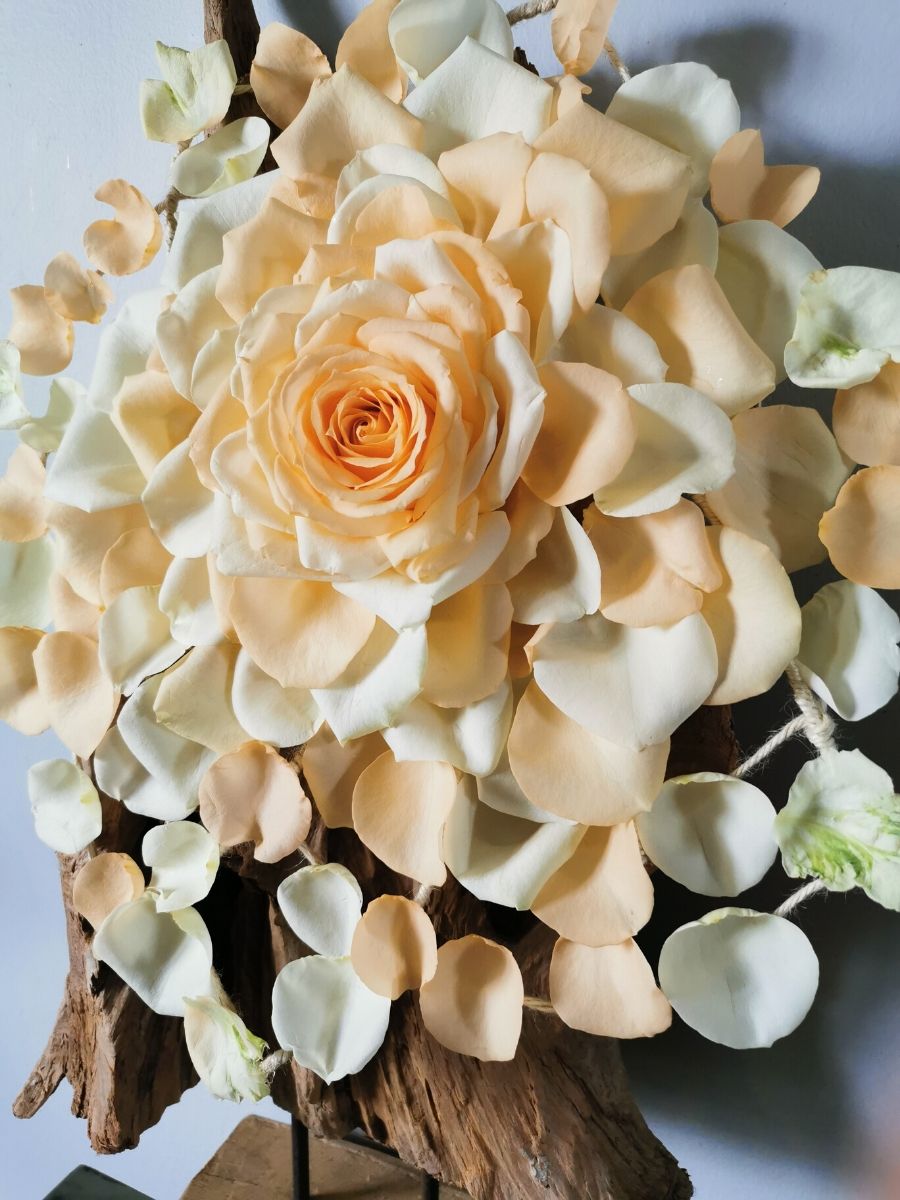 Sarah Willemart - French Florists with Peach Avalance+ - on Thursd Glamelia
