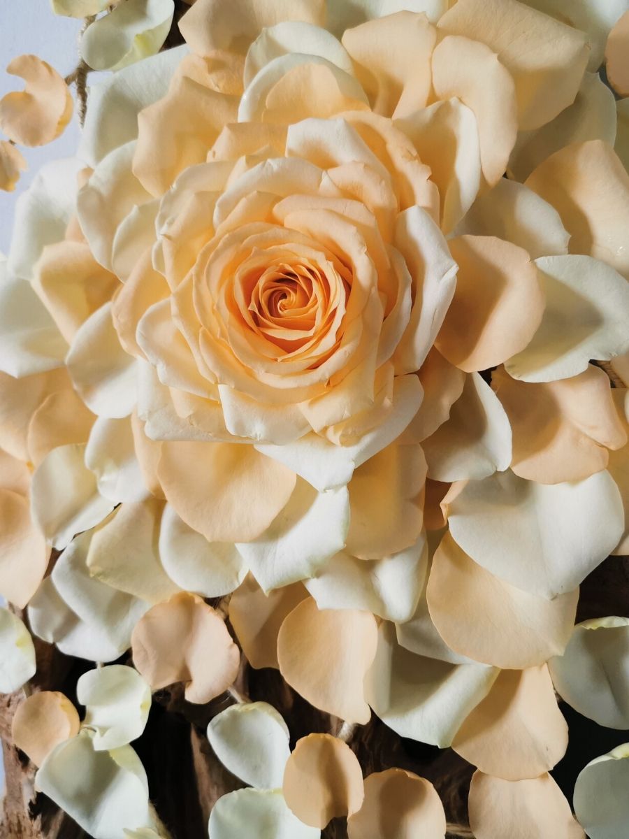 Sarah Willemart - French Florists with Peach Avalance+ - on Thursd Glamelia Close
