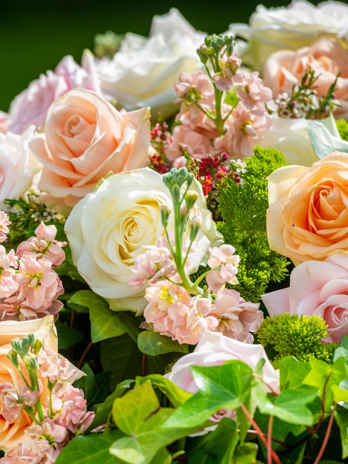 Garden basket full of radiant roses - Avalanche+ Fleur Creatif - on Thursd 02