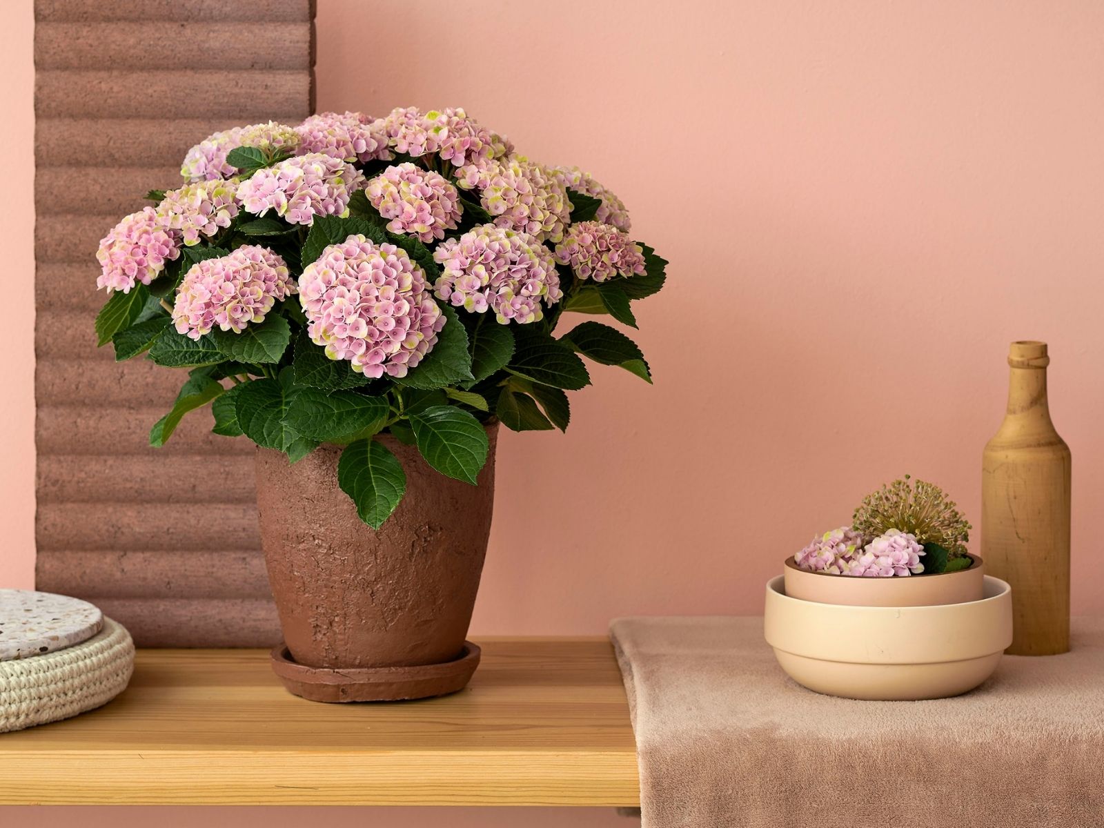 TOTF2021 - Magical Hydrangea for Colorful Moments - booth 23 on thursd - Magical Revolution