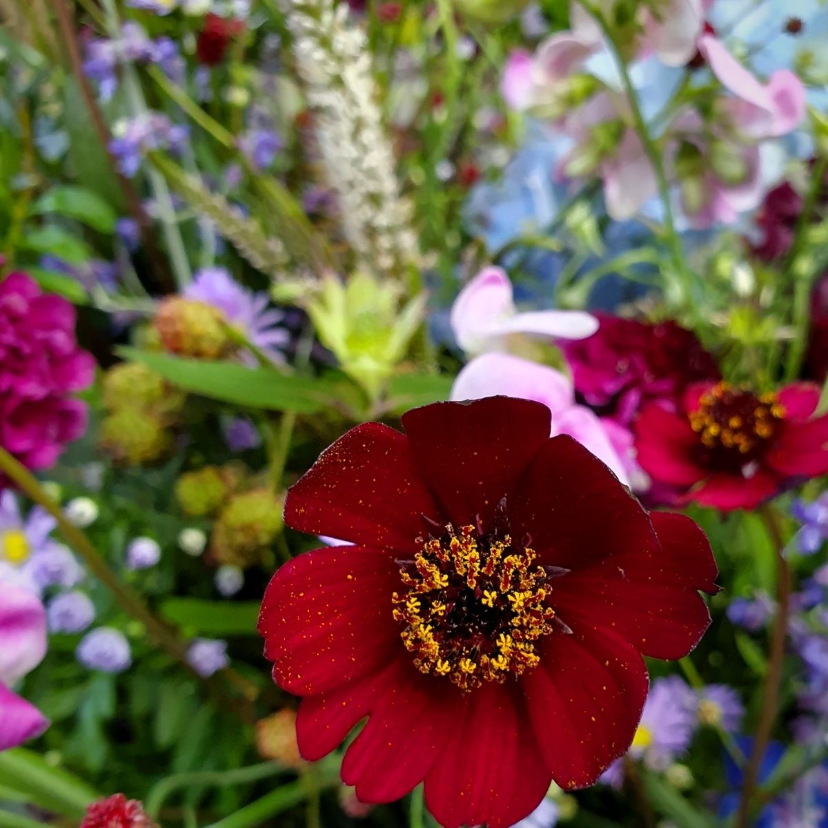Outdoor Flower Bouquets - On Thursd - 01