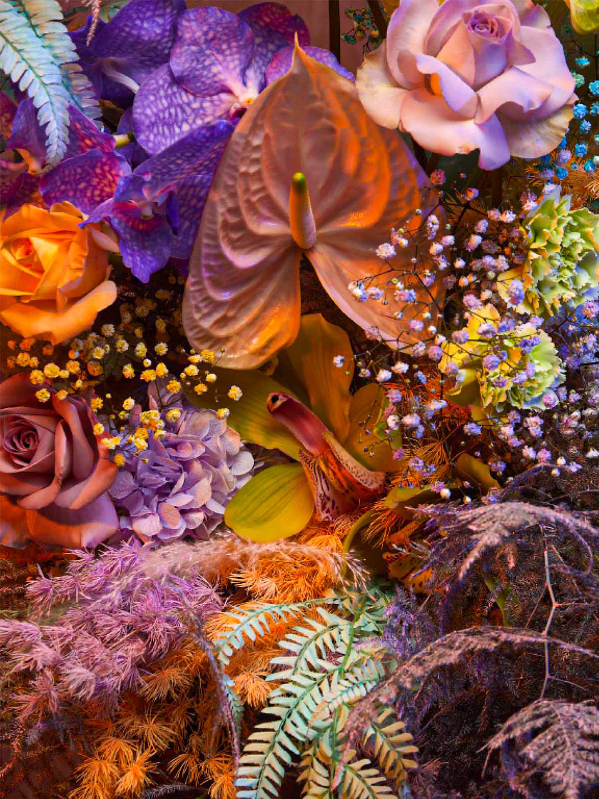 Five interpretations of Dried Flowers that Illuminate Your Bouquet on Thursd