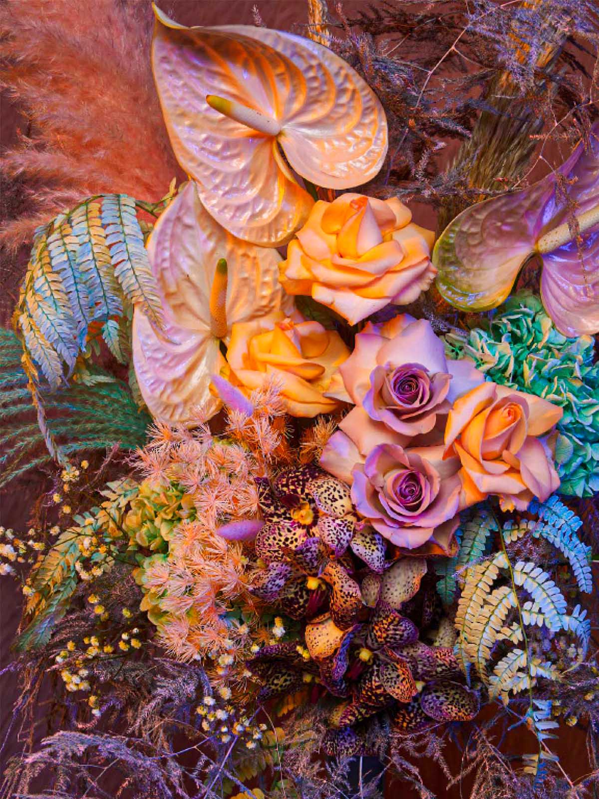 Five artistic Interpretations using fluorescent dried flowers on Thursd