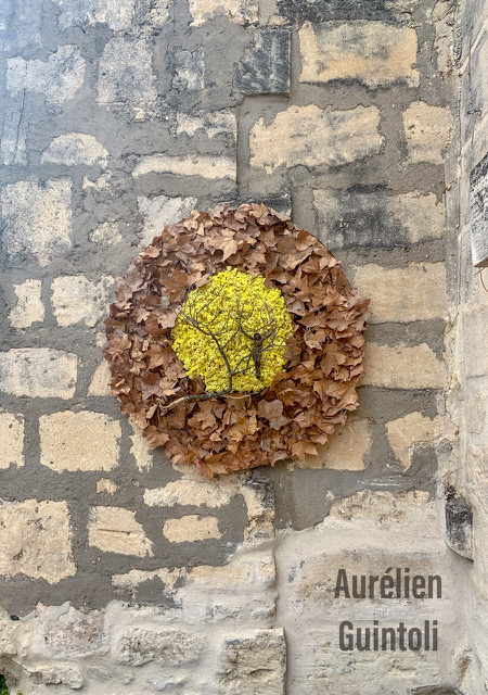 Dried Flower Arrangements by Aurélien Guintoli 4