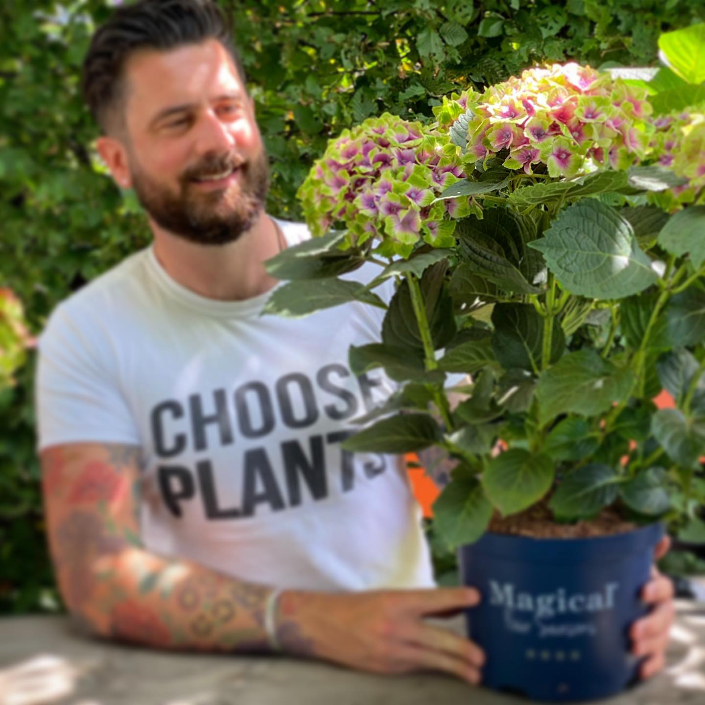Mr Plant Geek with Magical Jewel - colorful moments with magical hydrangea on thursd