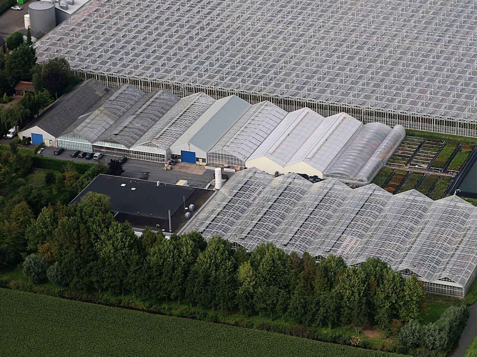De Ruiter Innovation on Thursd. - Head office greenhouses