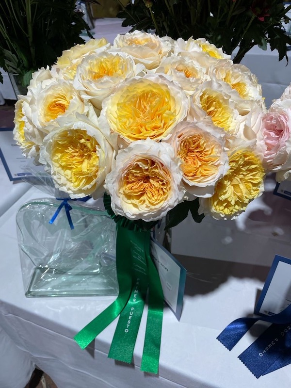 Garden Roses from Alexandra Farms Take Top Three Spots in Proflora Variety Contest002