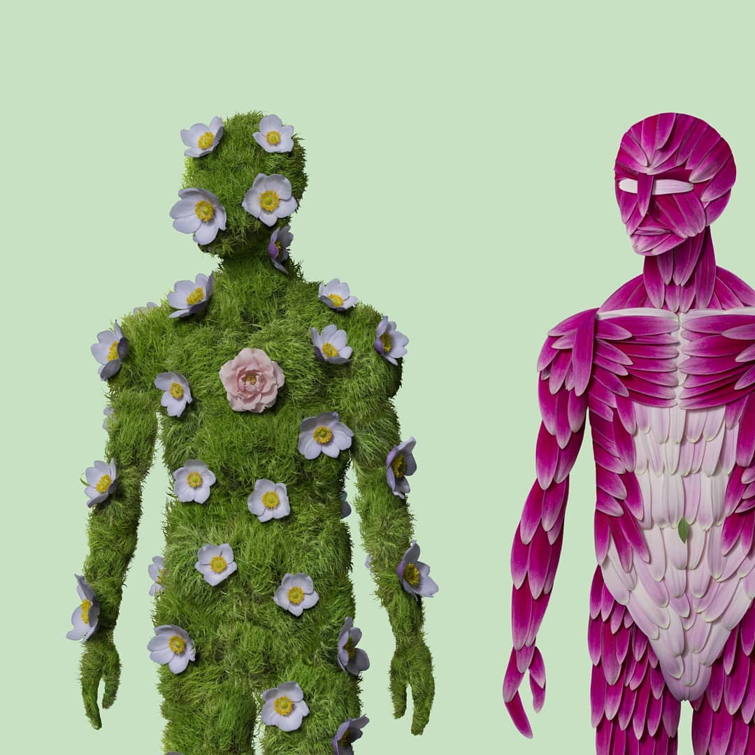 Let’s Explore the Anatomy Of A Plant Person -the anatomy of a plant person phase 3 and 4 - Reikan Creations - on thursd