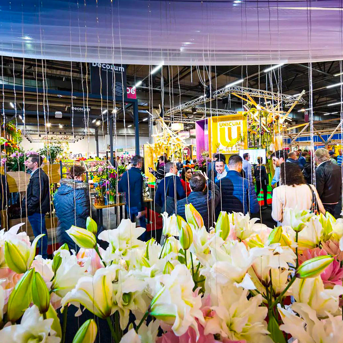 What to See and Do in the Coming Horti Week - FHTF 11