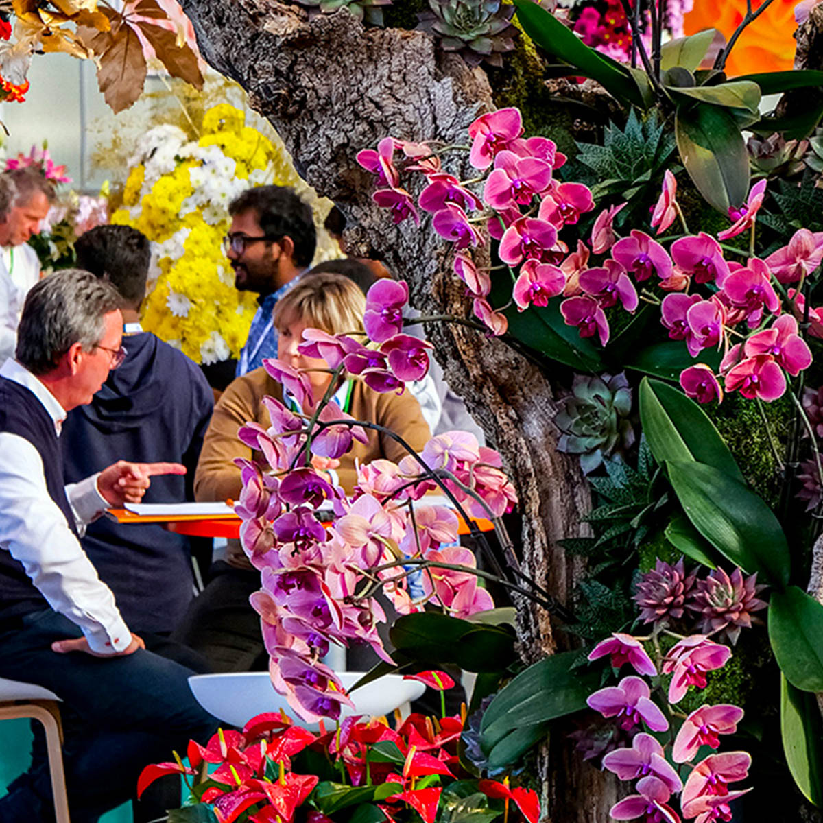 What to See and Do in the Coming Horti Week - IFTF 11