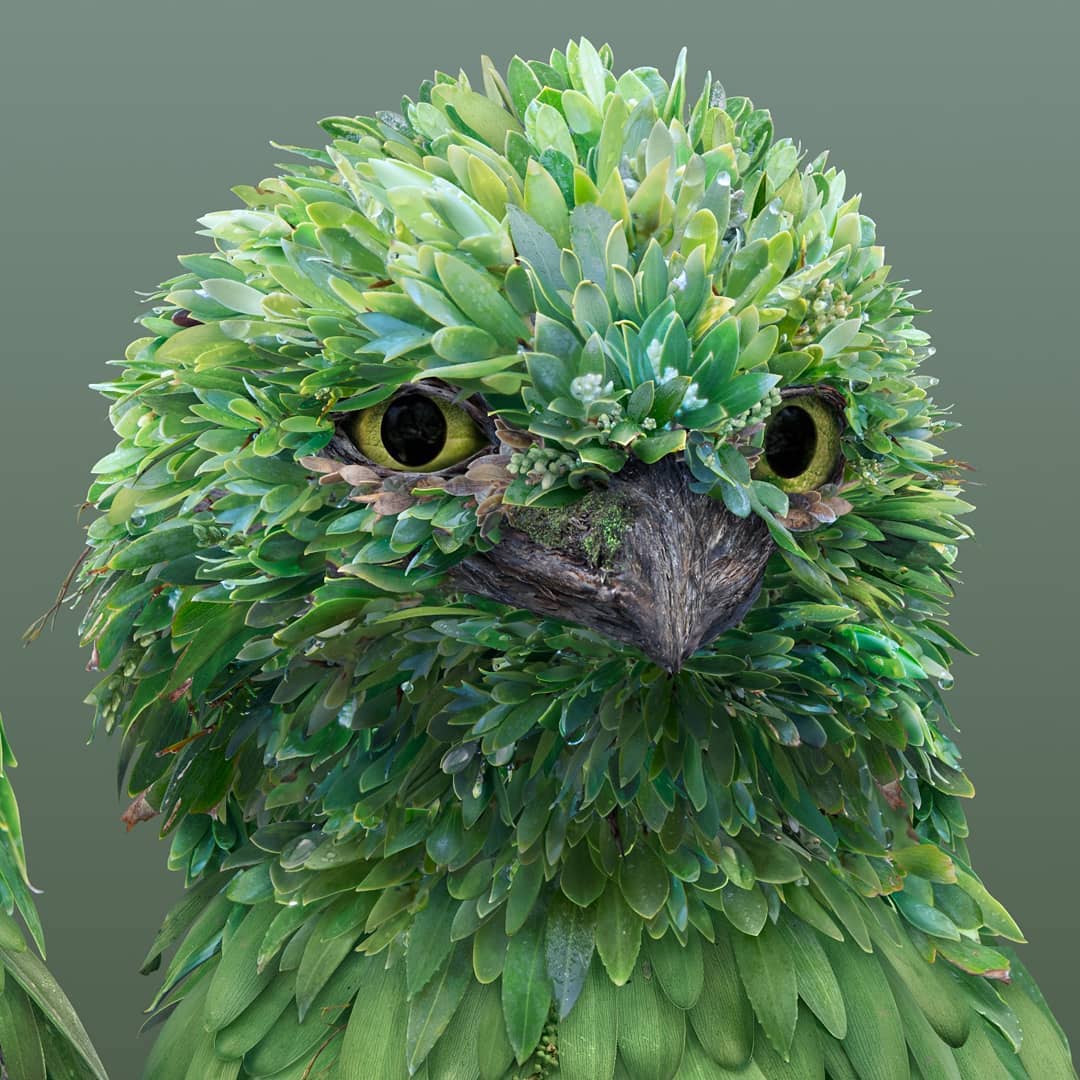 Distinctive Animal Species or Photoshop Masterpiece - green bird - josh dykgraaf - on thursd