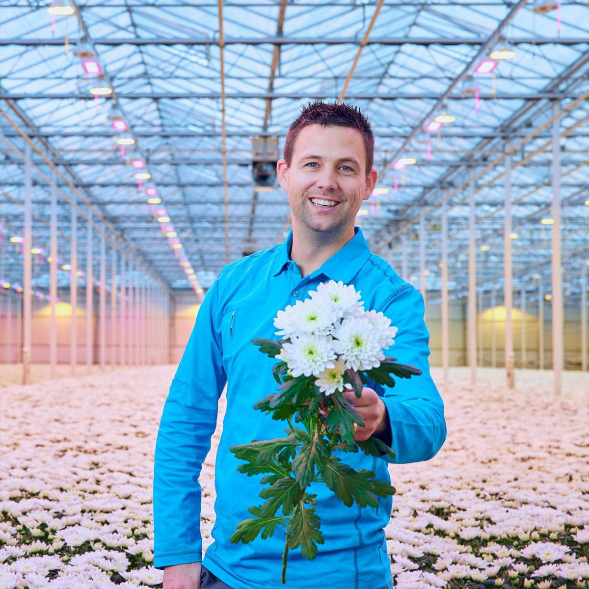 Beyond Creates the Perfect Formula for Chrysanthemums 01 Martijn Duijvesteijn