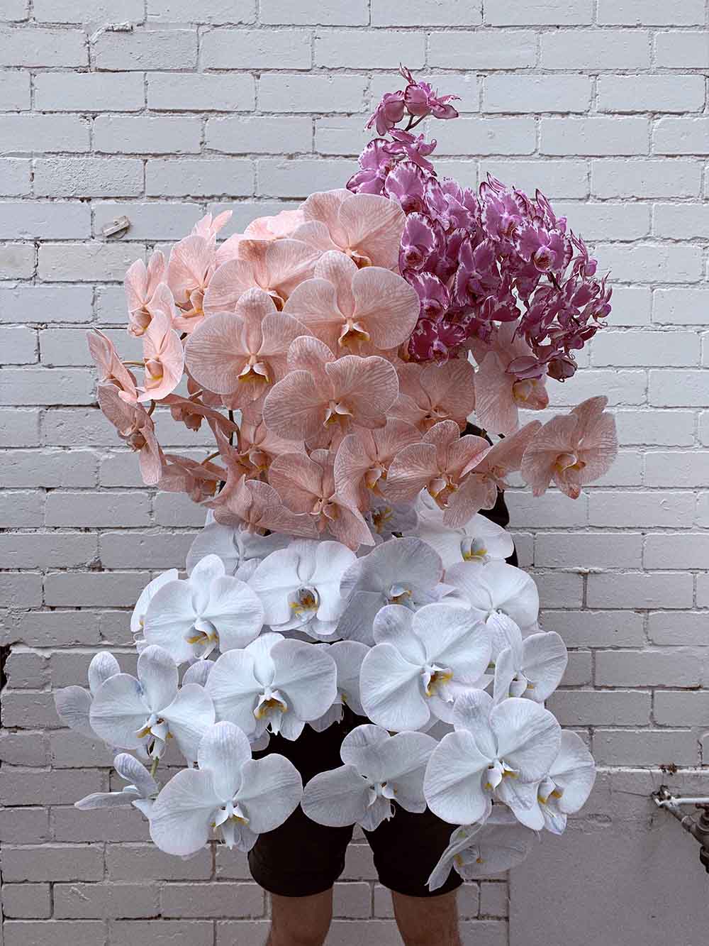 Brett Mathew John Designer exclusive interview phaleonopsis flowers on Thursd