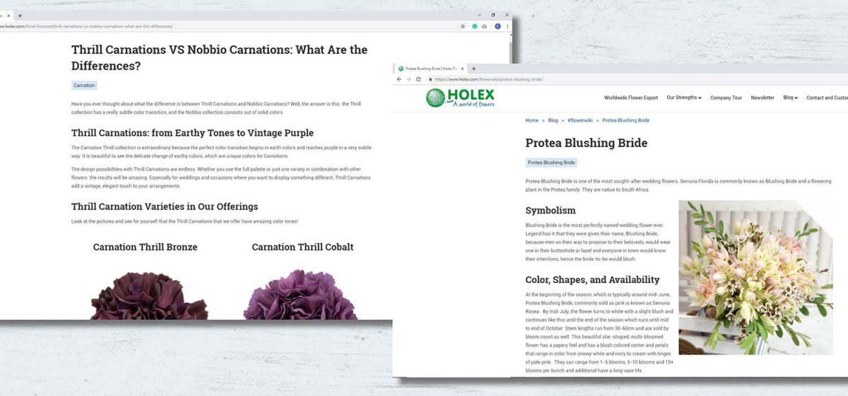 Holex flower inspiration article on Thnursd