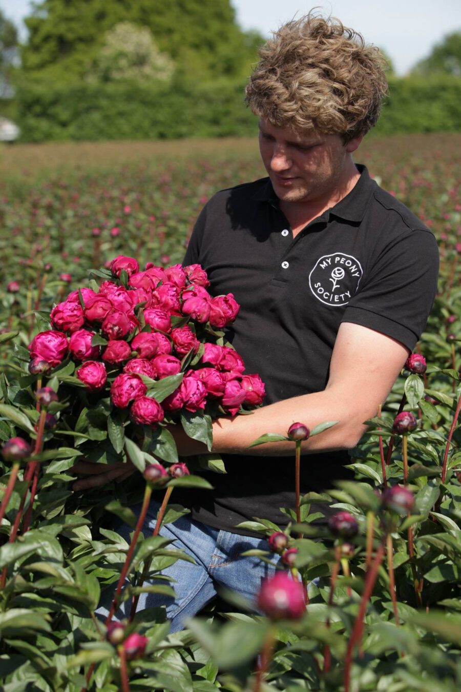 Peonies Sold Too Raw - cutting the right flowers stage