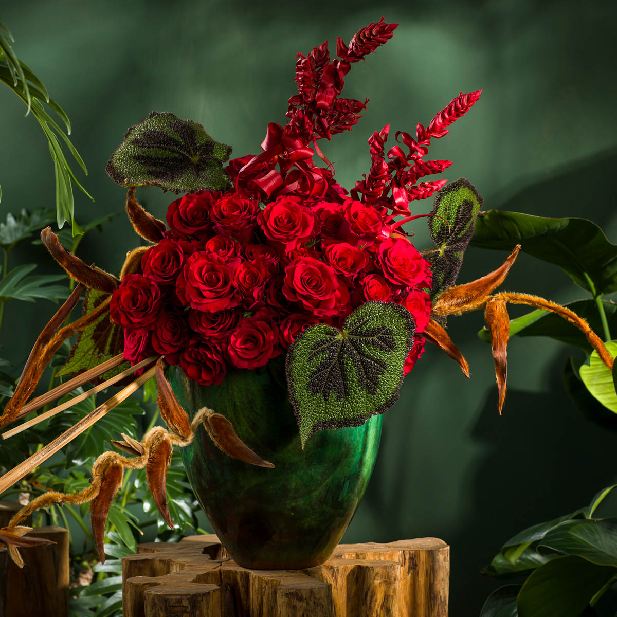 Rose Red Tacazzi Cut flower on Thursd feature