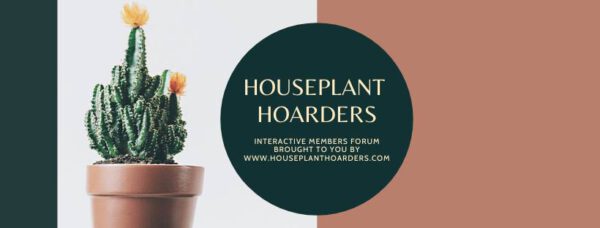 Facebook Plant Group Houseplant Hoarders