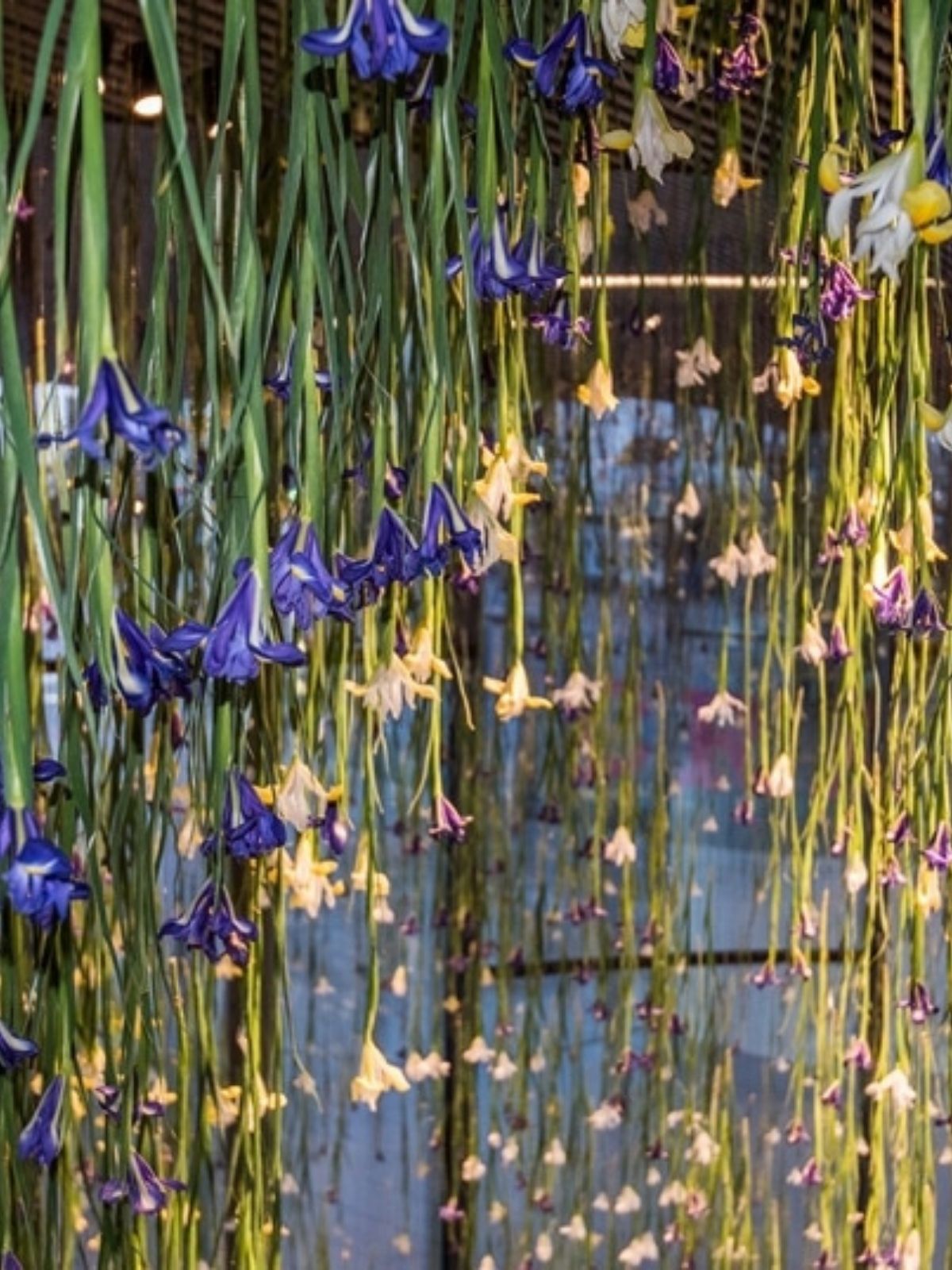 The Iris in a Sculptural and Painterly Fashion - rebecca louise law - iris exhibition - hanging iris flowers - on thursd