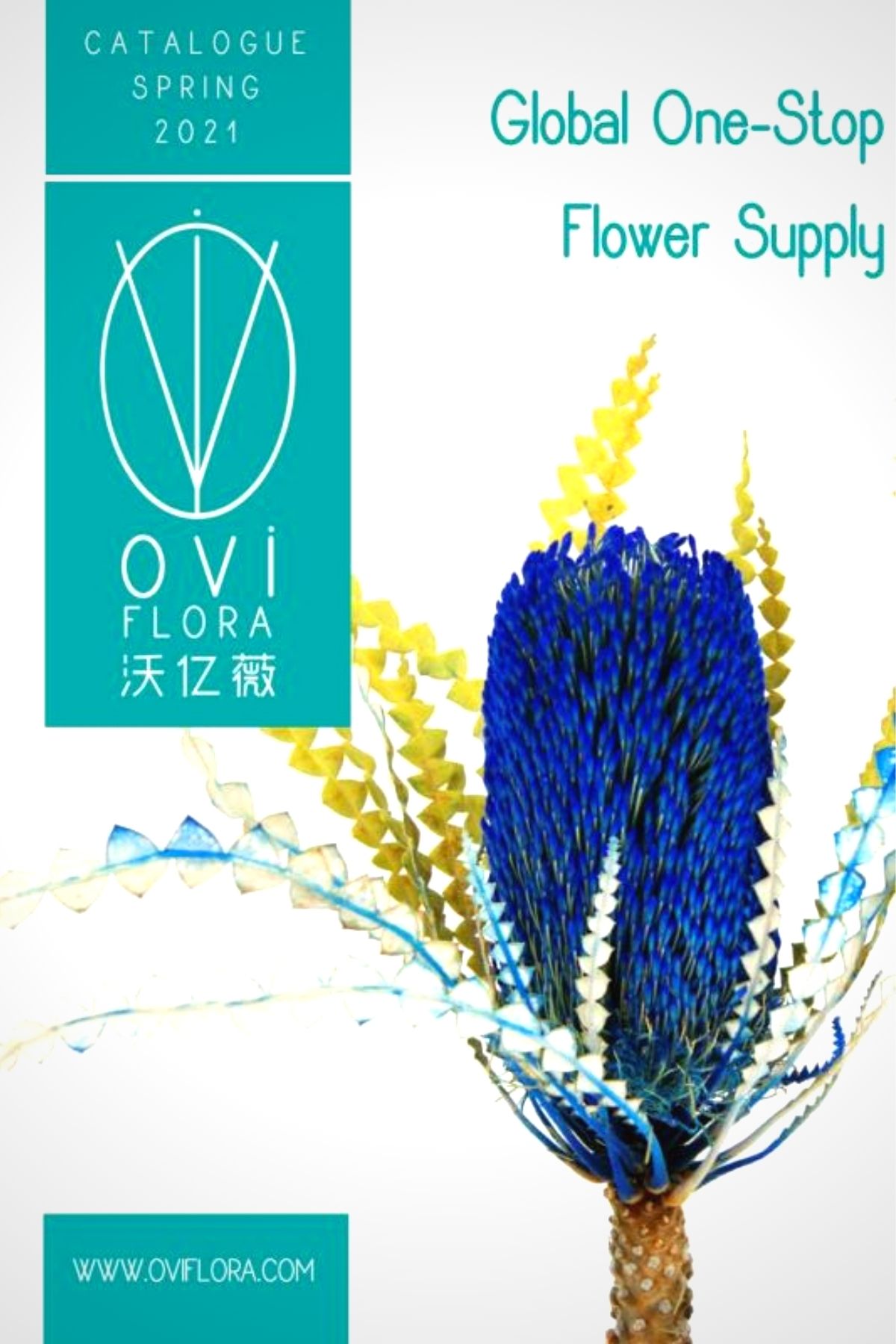 OVIflora Has a Huge Demand for Preserved and Dried Flowers in China - Article on Thursd (2)