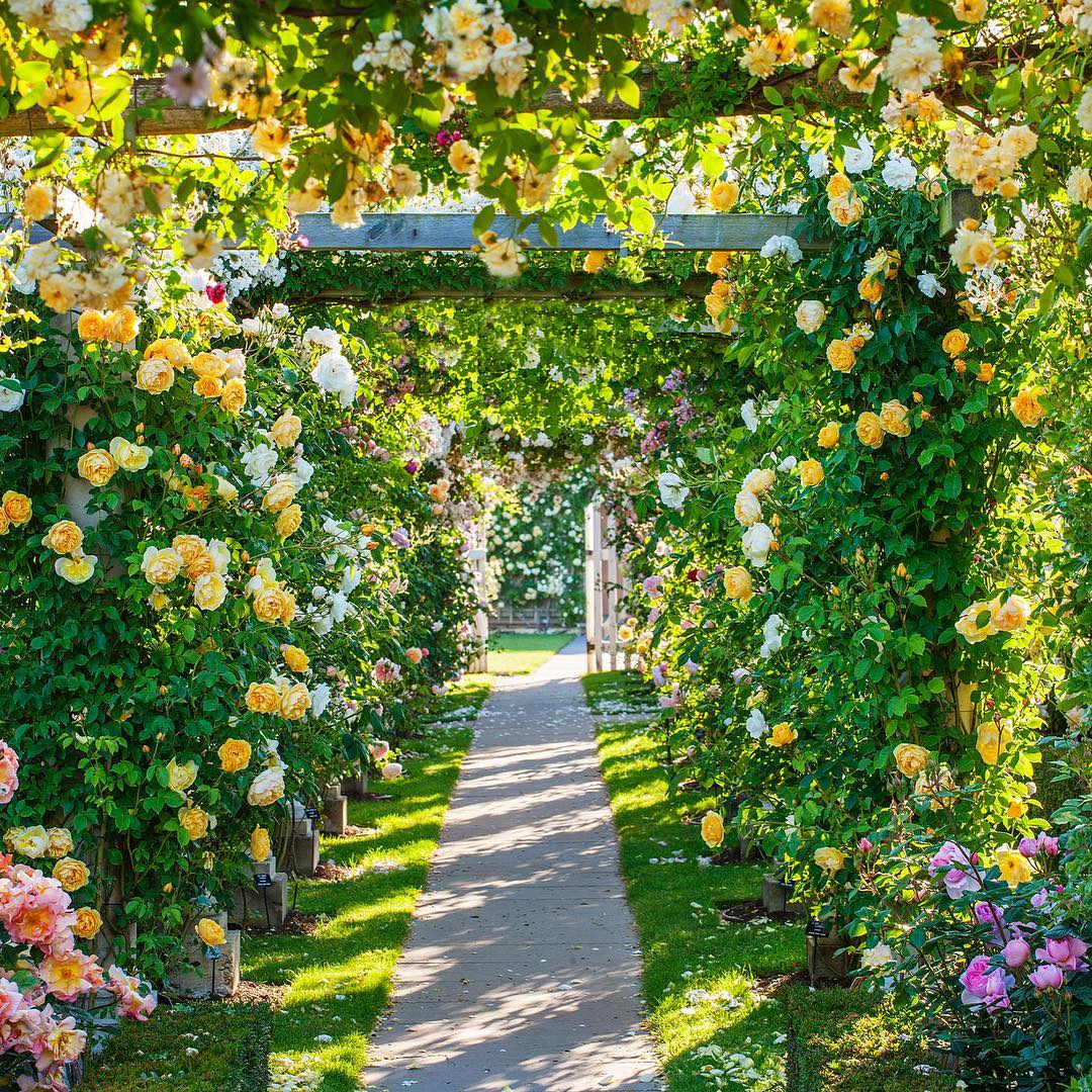Clive Nichols Captures Marvelous Gardens You'll Want to Get Lost in006