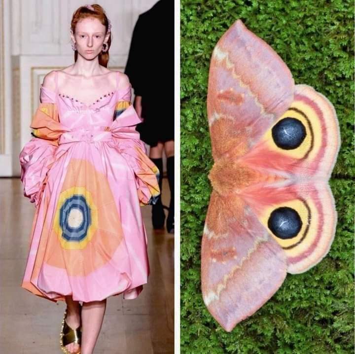 12 Best Insect Inspired Fashion and Floral Designs - inspiration 2 - W.C.A.F.A judges panel - article on thursd