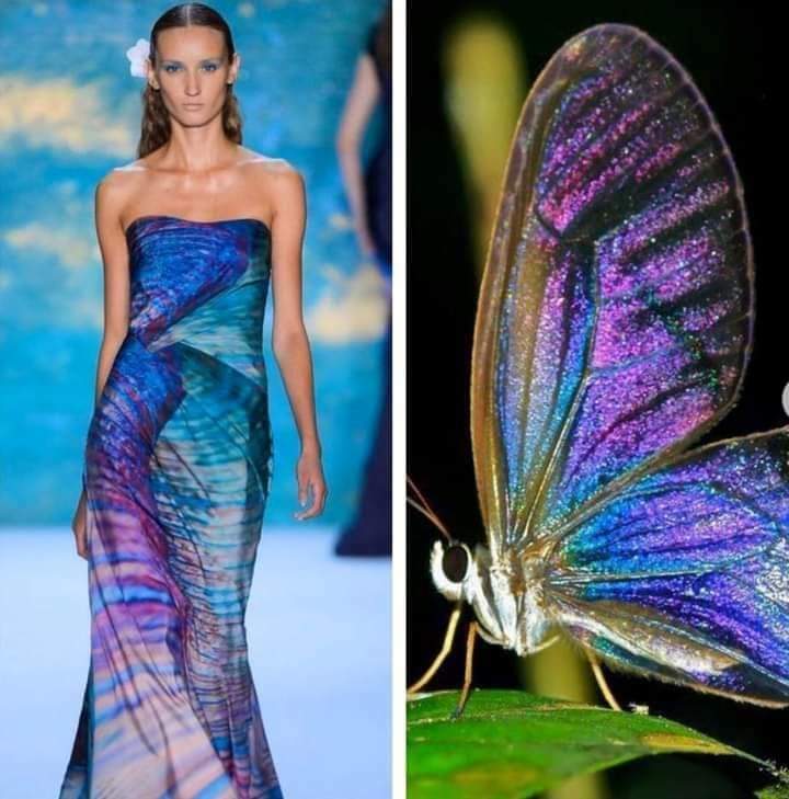 12 Best Insect Inspired Fashion and Floral Designs - inspiration 6 - W.C.A.F.A judges panel - article on thursd