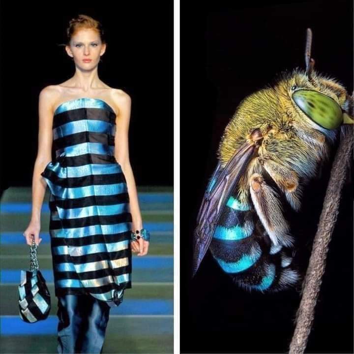12 Best Insect Inspired Fashion and Floral Designs - inspiration 7 - W.C.A.F.A judges panel - article on thursd