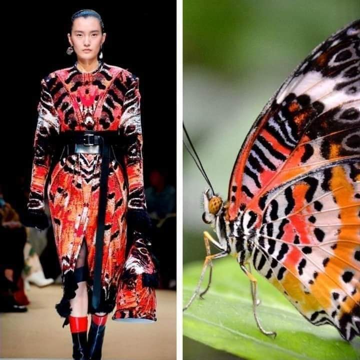 12 Best Insect Inspired Fashion and Floral Designs - inspiration 10 - W.C.A.F.A judges panel - article on thursd