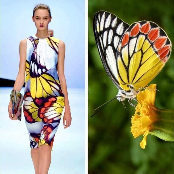 12 Best Insect Inspired Fashion and Floral Designs - inspiration 11 - W.C.A.F.A judges panel - article on thursd