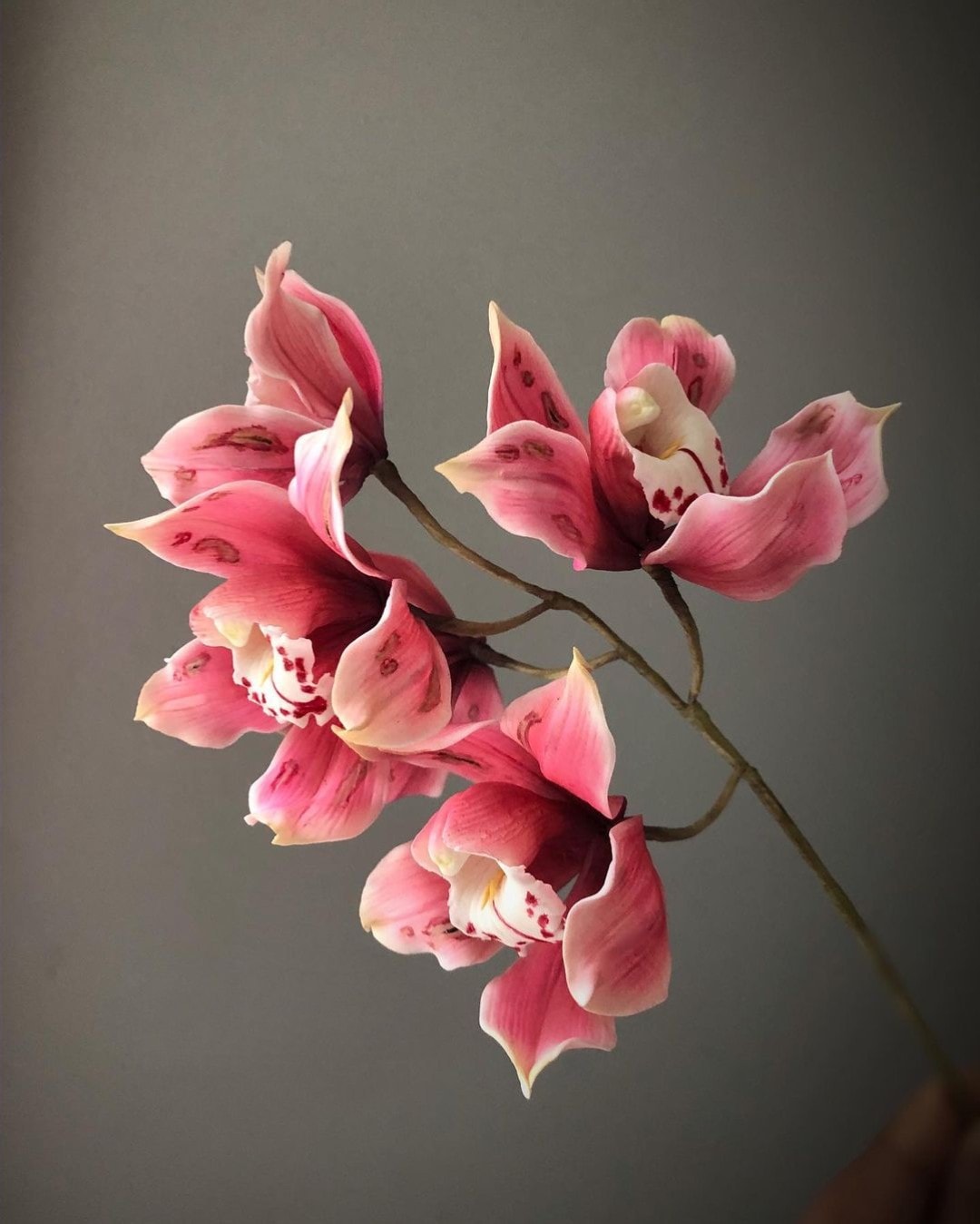 Ultra Realistic Sugar Flowers That You Can Hardly Distinguish From the Real Thing by Michelle Nguyen Orchid on Thursd