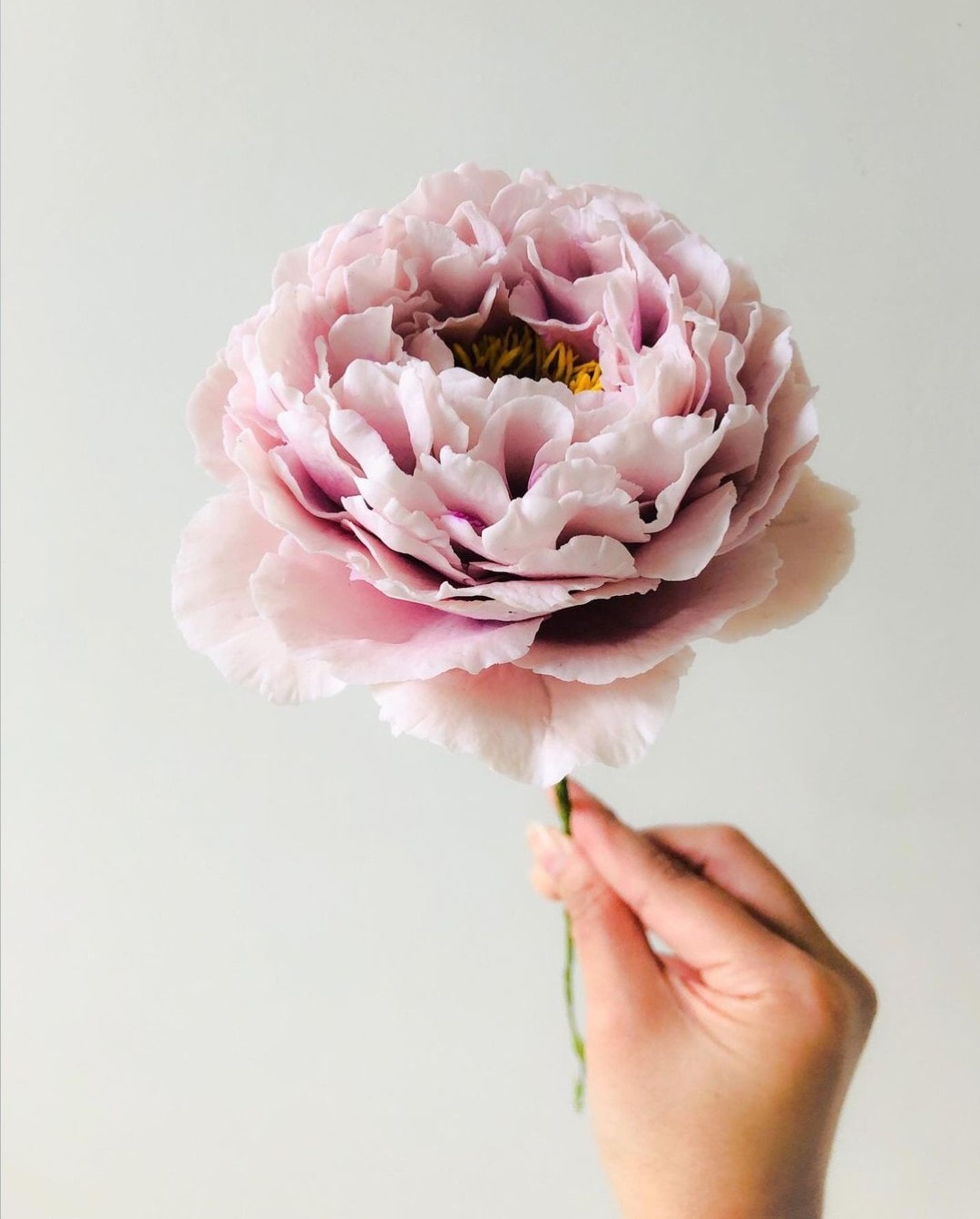Ultra Realistic Sugar Flowers Pink Peony on Thursd