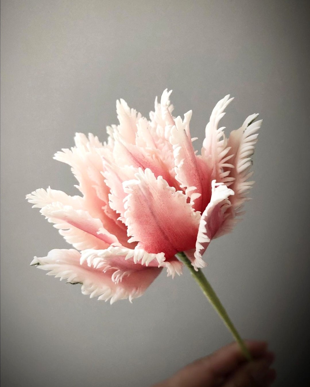 Ultra Realistic Sugar Flowers Parrot Tulip Pink on Thursd