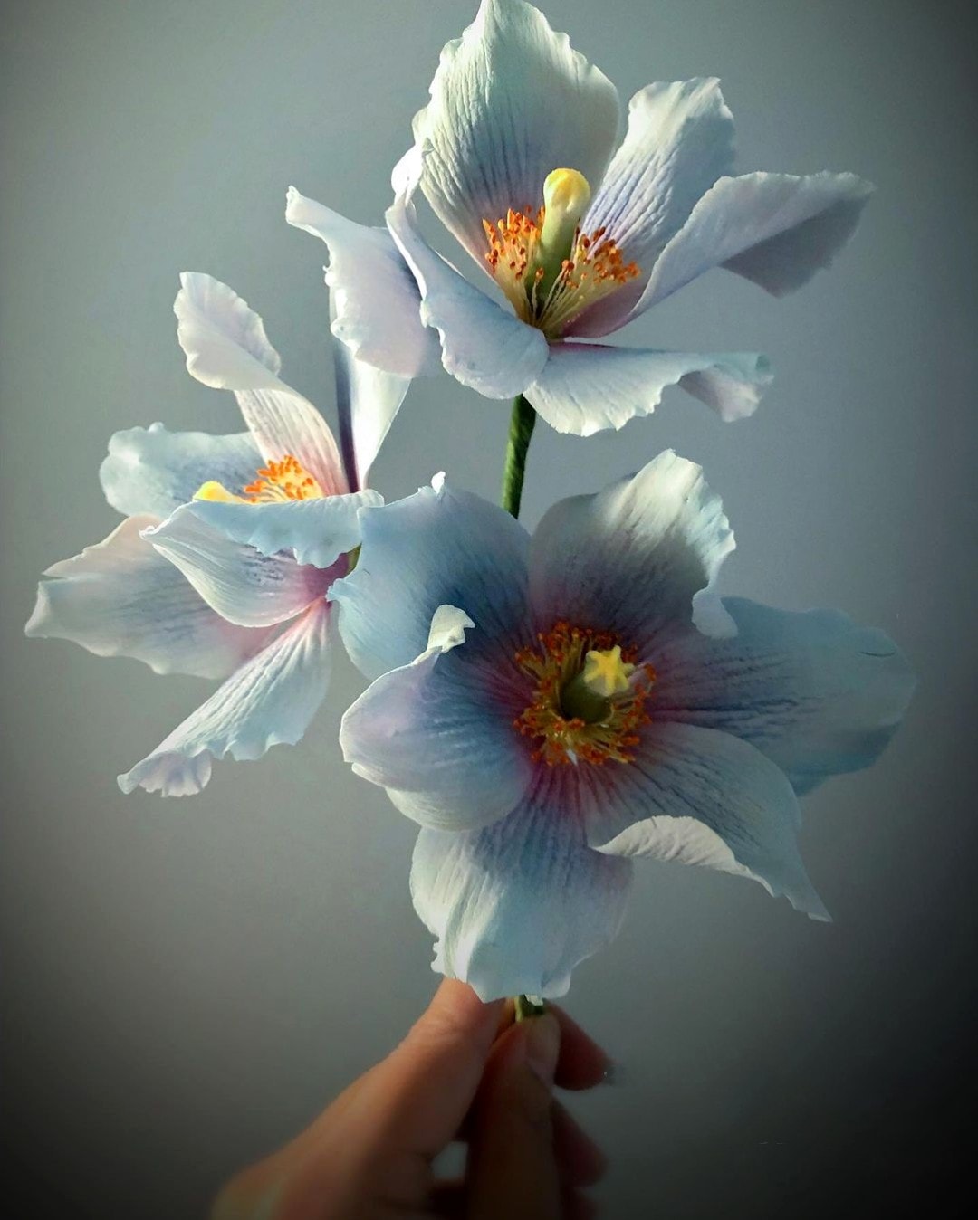 Ultra Realistic Sugar Flowers Light Blue on Thursd