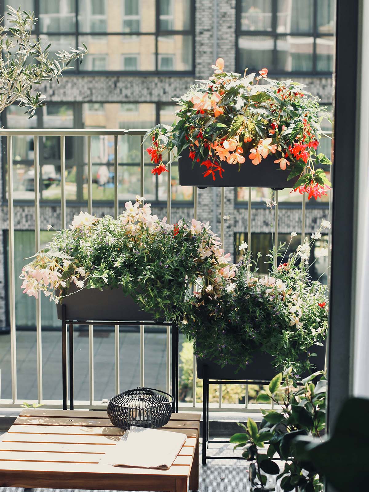 Upperbloom's Perfect Balcony Plants 02