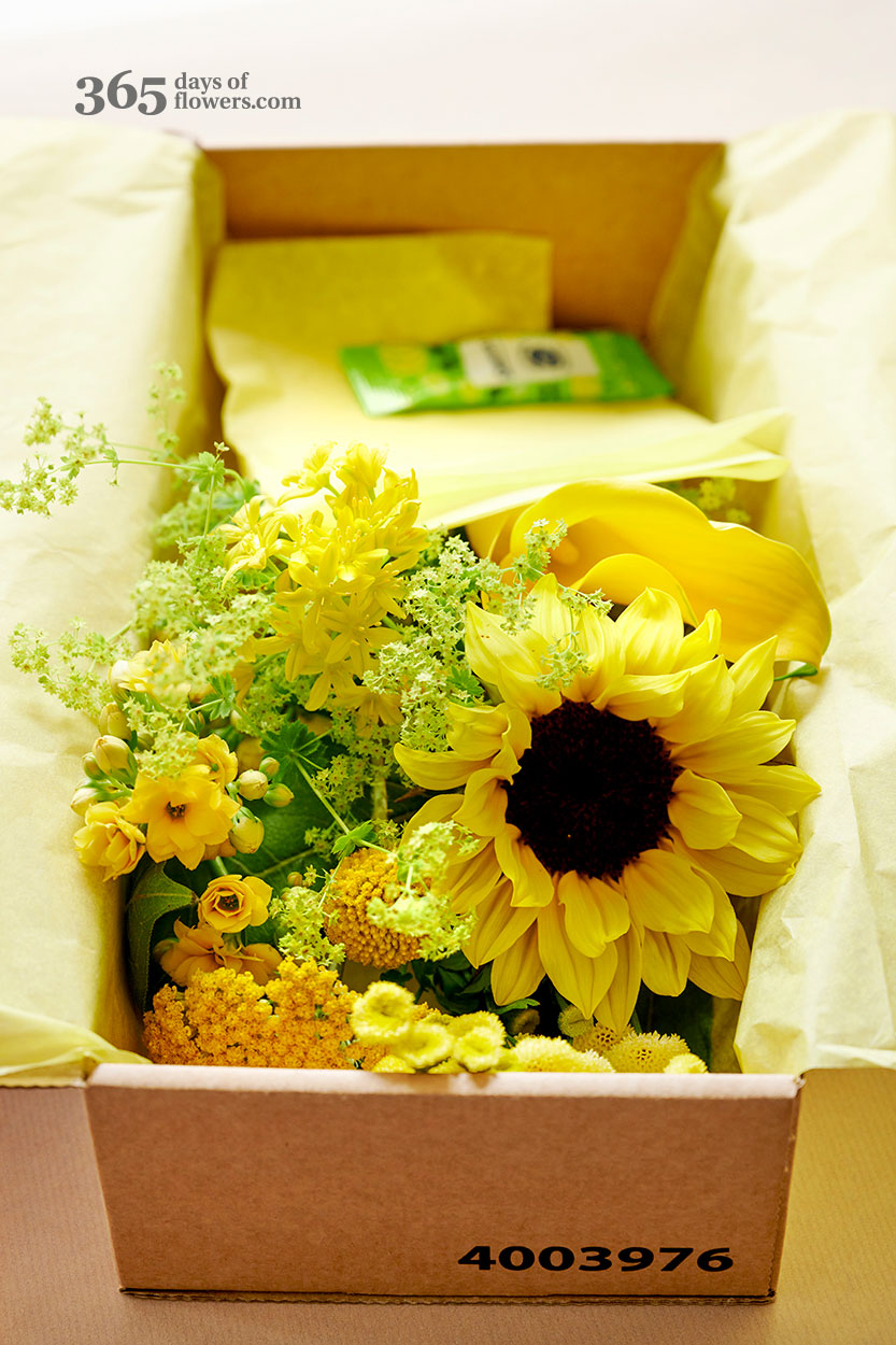 Celebrate Summer With 365 Days of Flowers - yellow summer flowers in box - totf2021 se - on thursd