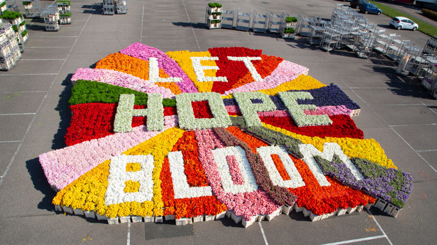 Dutch Flower Council Let Hope Bloom on Thursd.