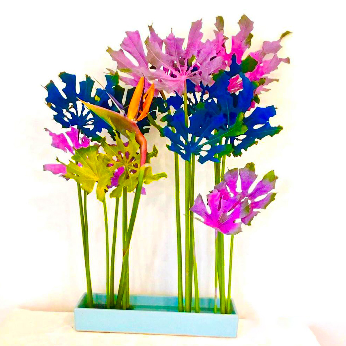 Toula Karanikolopoulos Shows How Ikebana Is the Art of Flower Arrangement 03
