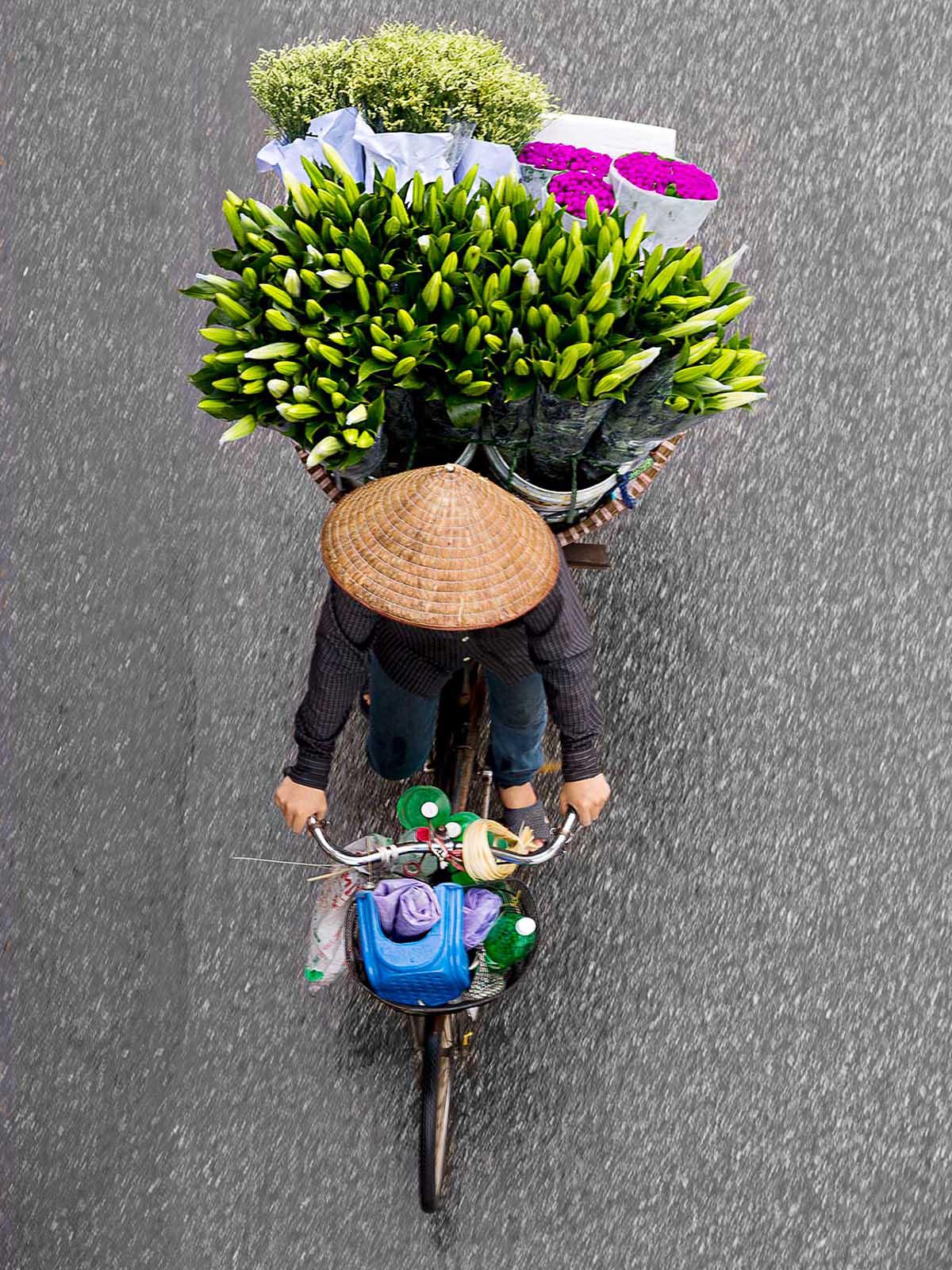 Flower Merchants in Motion 02