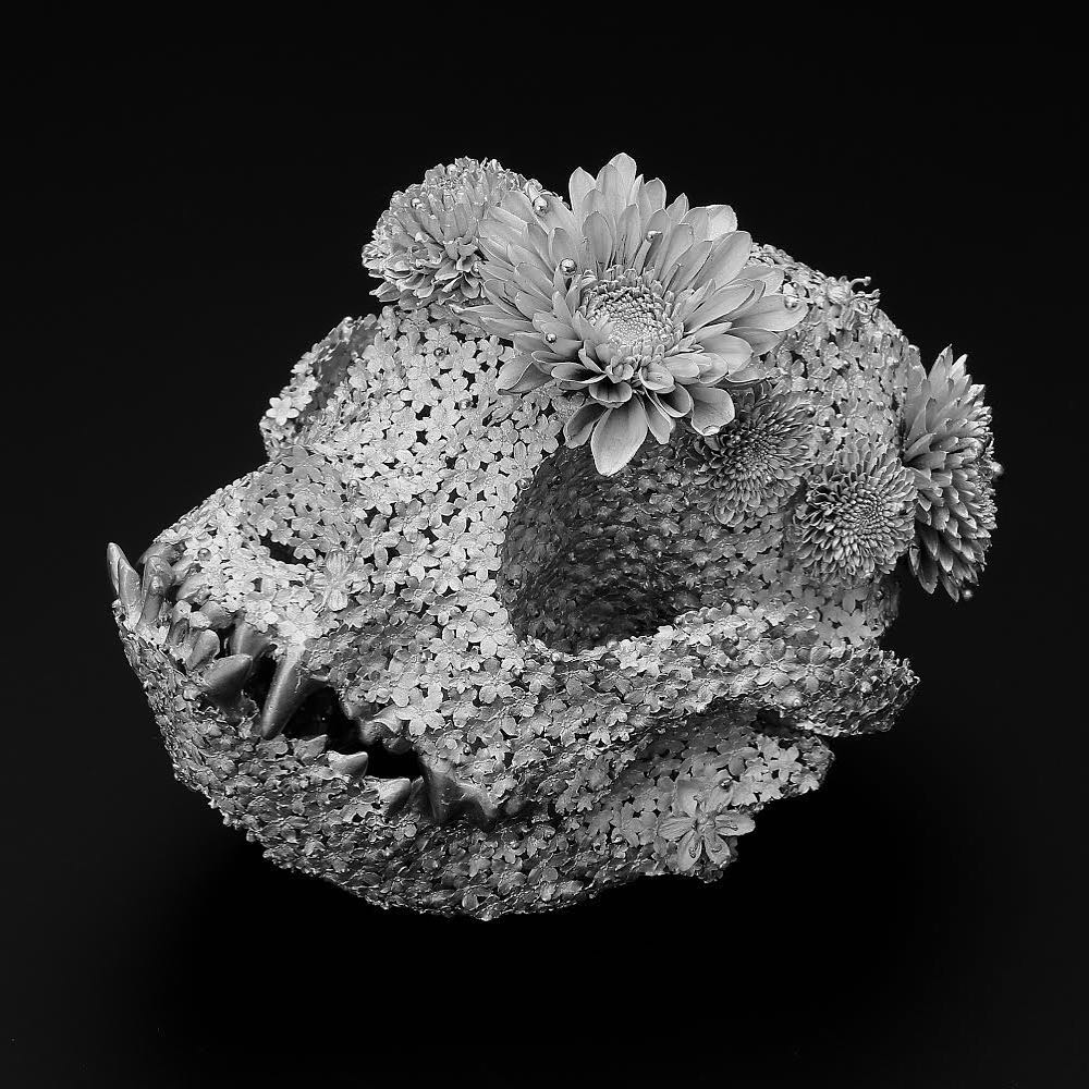 Kengo Takahashi Uses Aluminum Flowers to Create Metal Skulls001