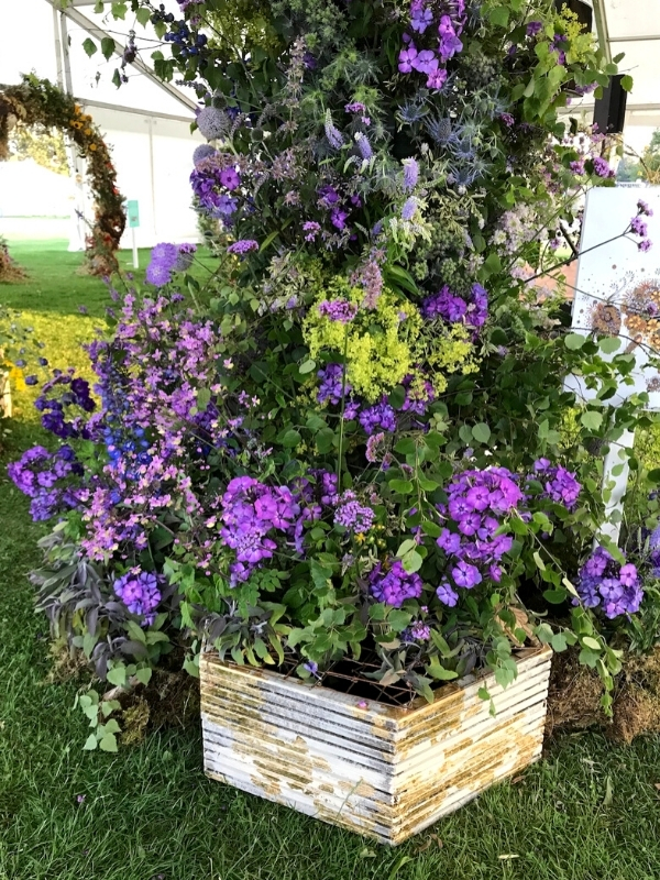 Show-Stopping 'Bee Friendly, Bee Kind' Floral Installation at the RHS Tatton Flower Show003
