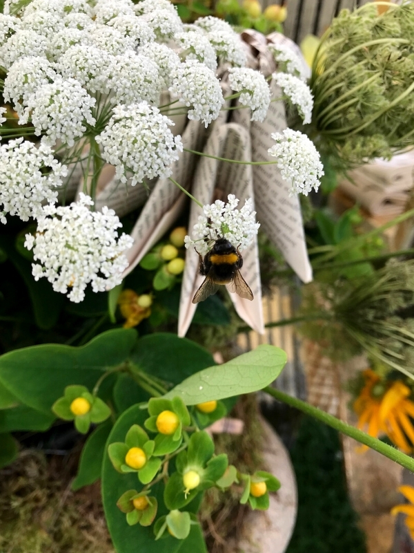 Show-Stopping 'Bee Friendly, Bee Kind' Floral Installation at the RHS Tatton Flower Show009
