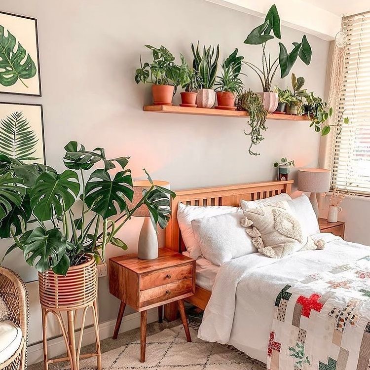 10 Plants for a Bohemian Interior011